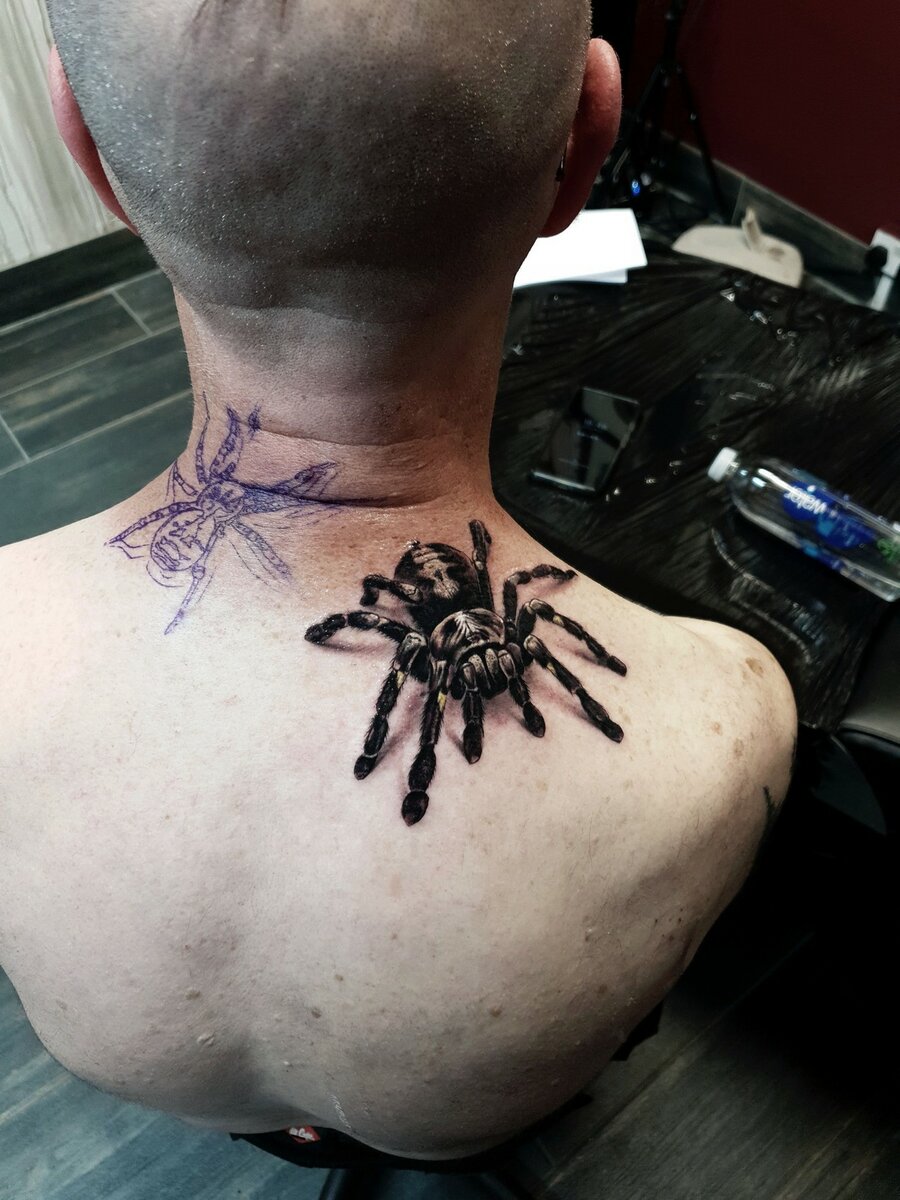 Татуировка паука на руке