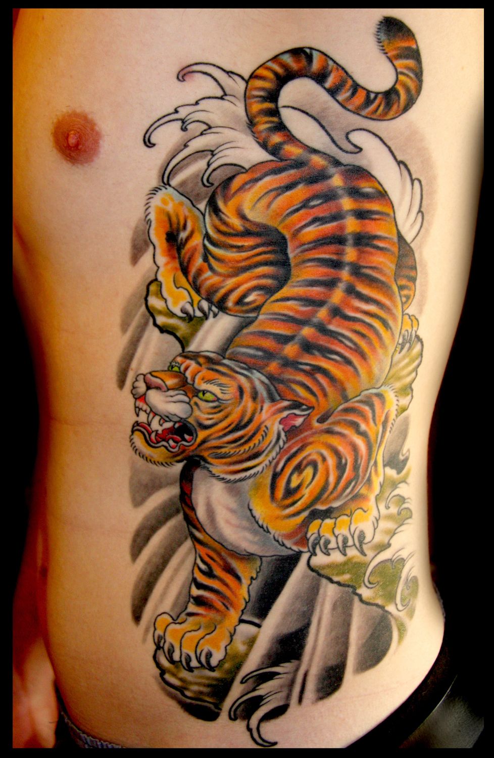 Японский тигр Ориентал