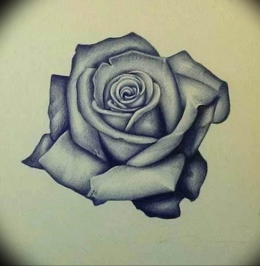 Эскизы татуировок розы.