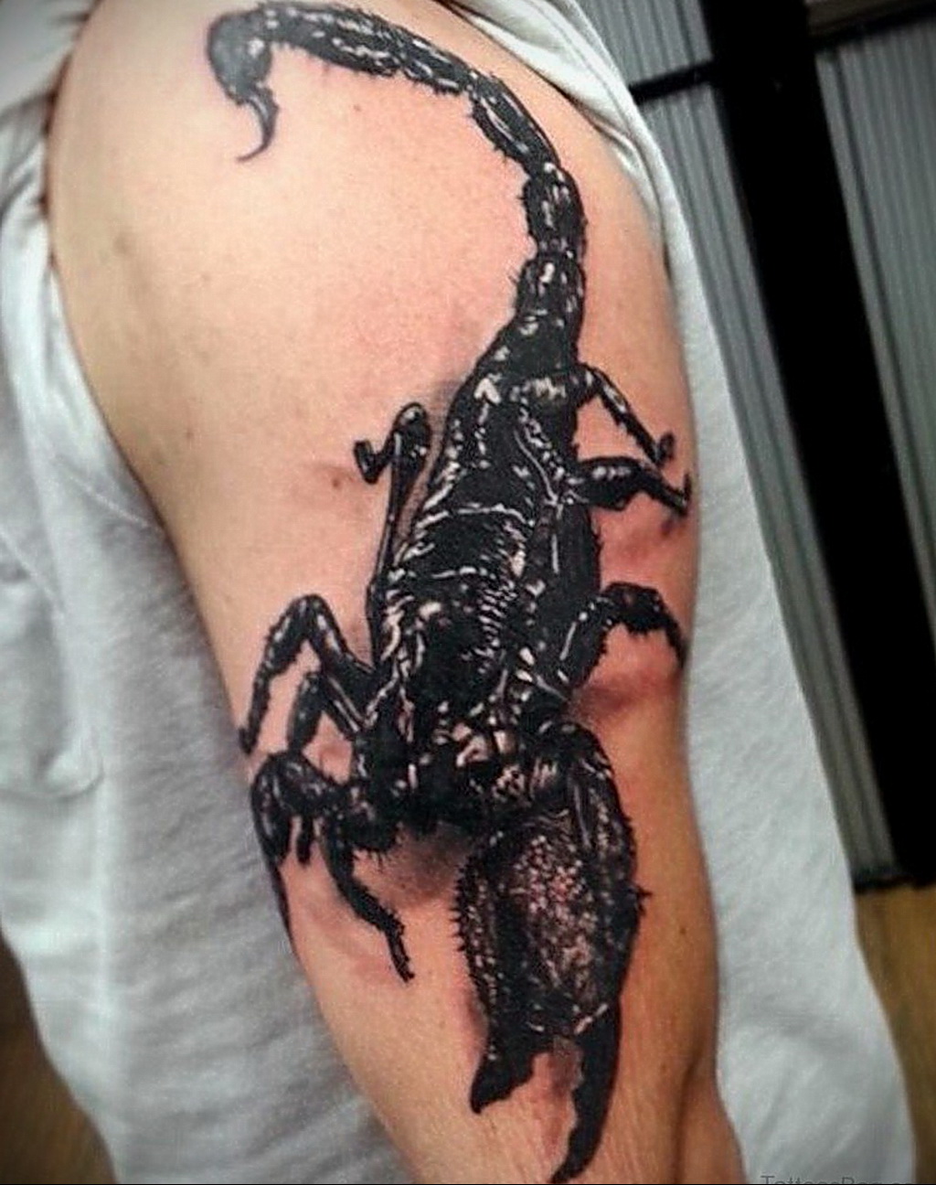 Татуировка Скорпион на плече