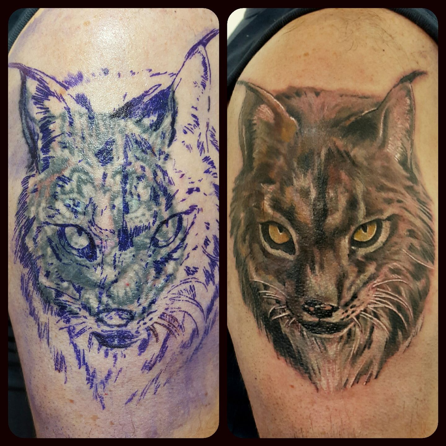 Lynx tattoo meaning