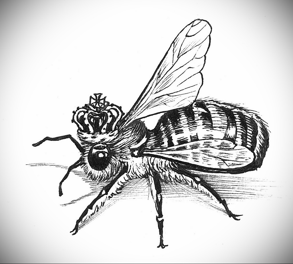 Пчела эскиз