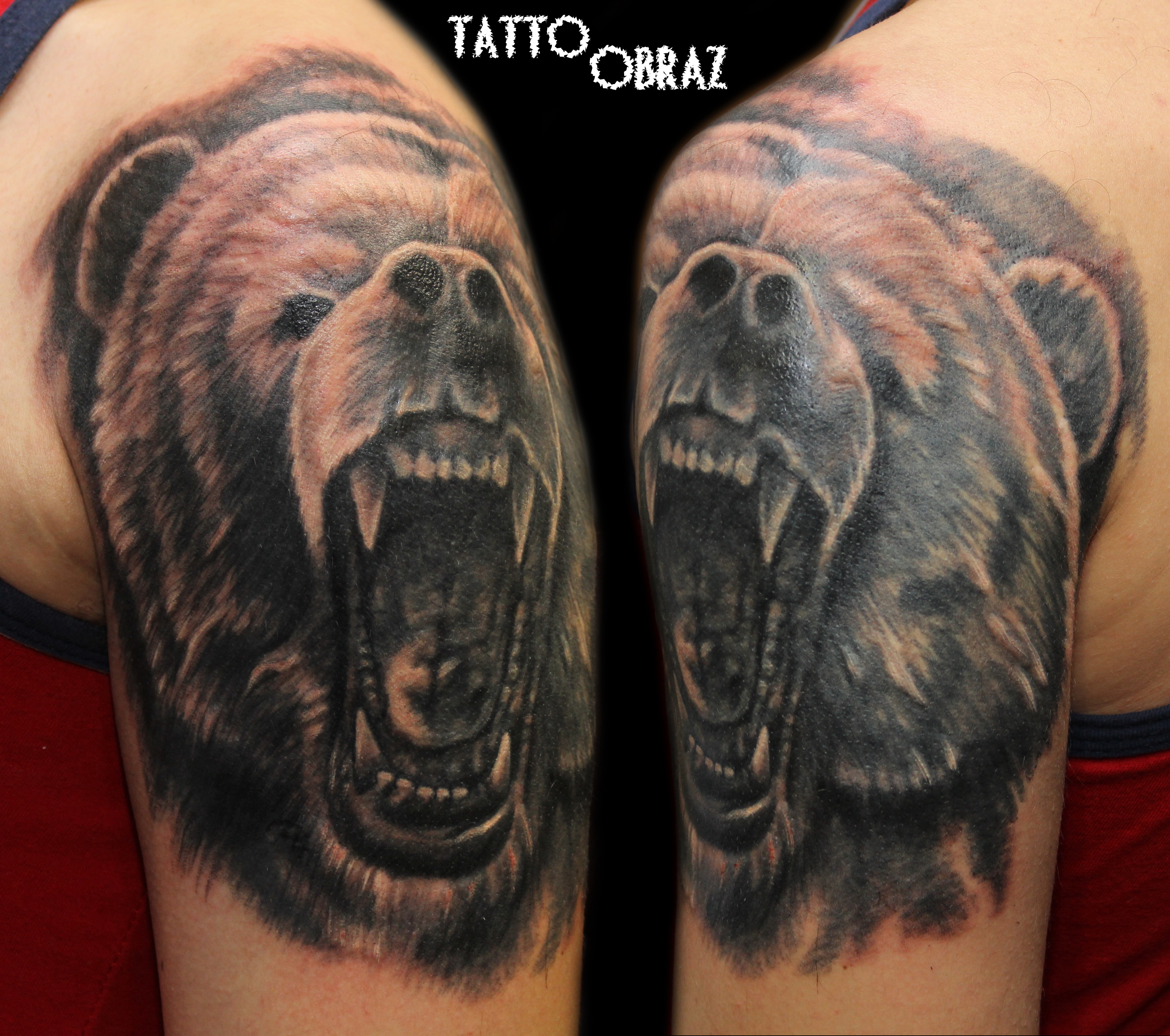 Татуировка Медвежий оскал на плече