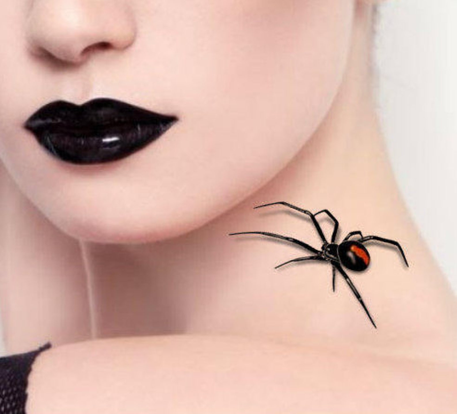 Черная вдова паук Эстетика
