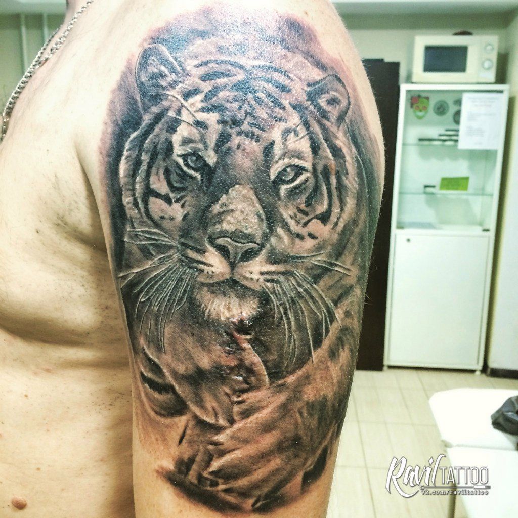 Тату тигр с тигренком на плече