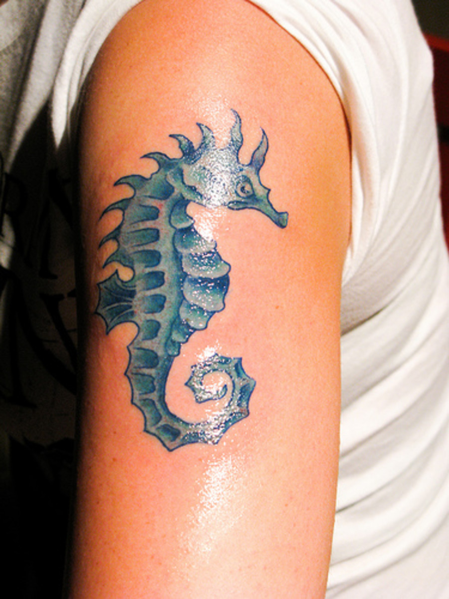 Значение татуировки морской конек (30+ фото)