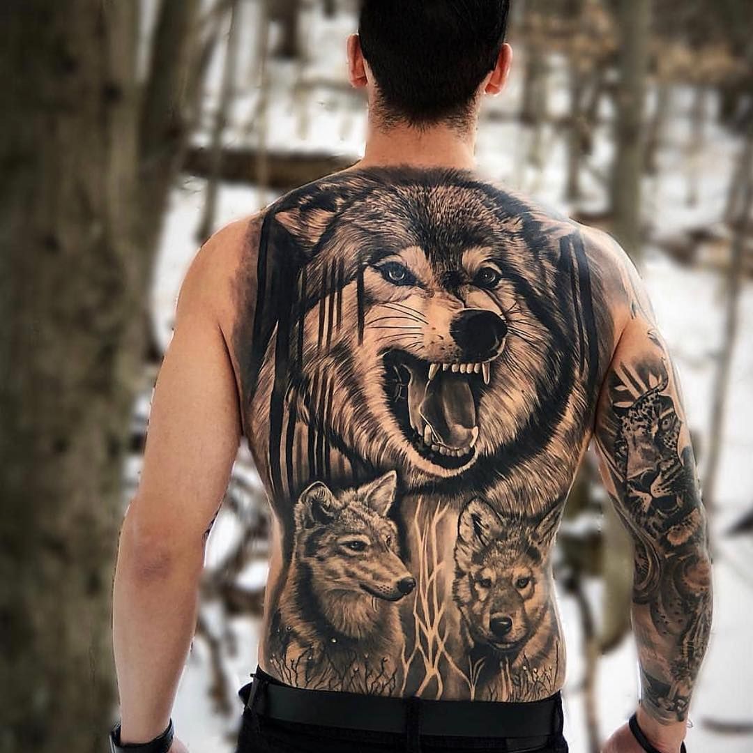 Волк со спины