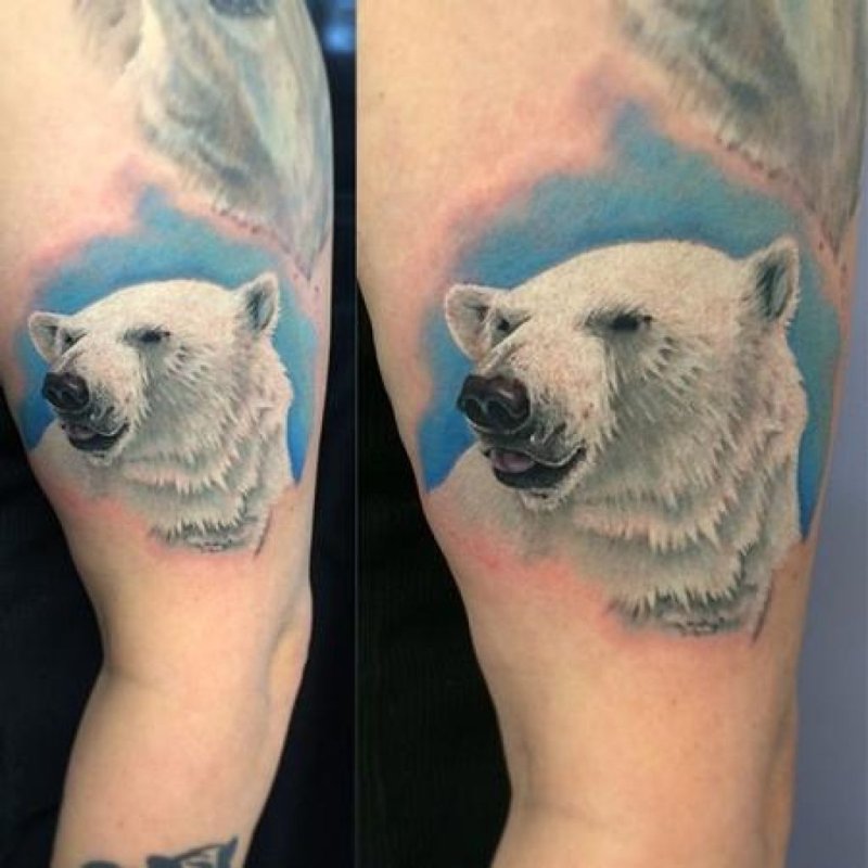 Белый медведь татуировка (58 фото)