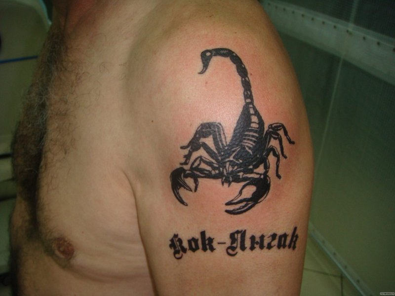 Варианты трактовки символьного значения тату скорпион