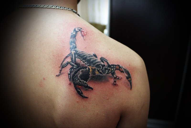 Тюремное значение татуировки скорпион