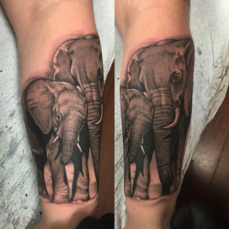 Рукав со слоном