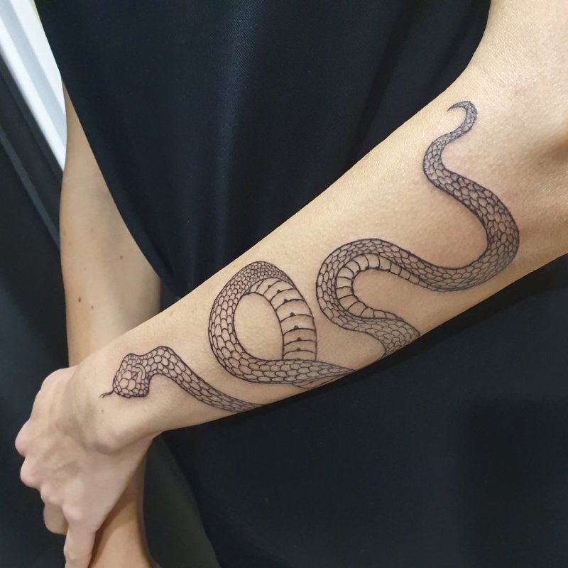 Выбор дизайна тату змеи на руке