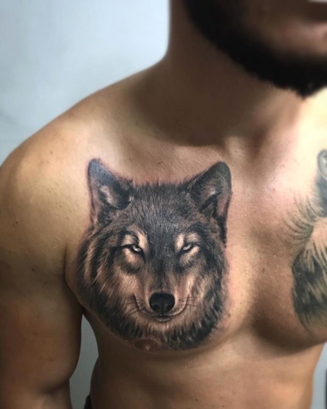 Тату волка: неоднозначный символизм хищного животного