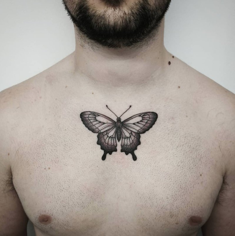 Тату бабочка на груди мужская
