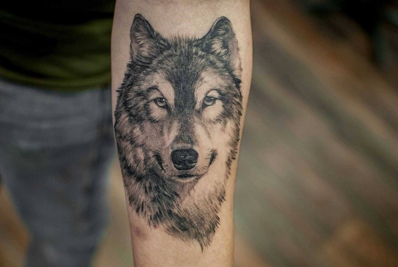 50 лучших идей татуировок волка на плече