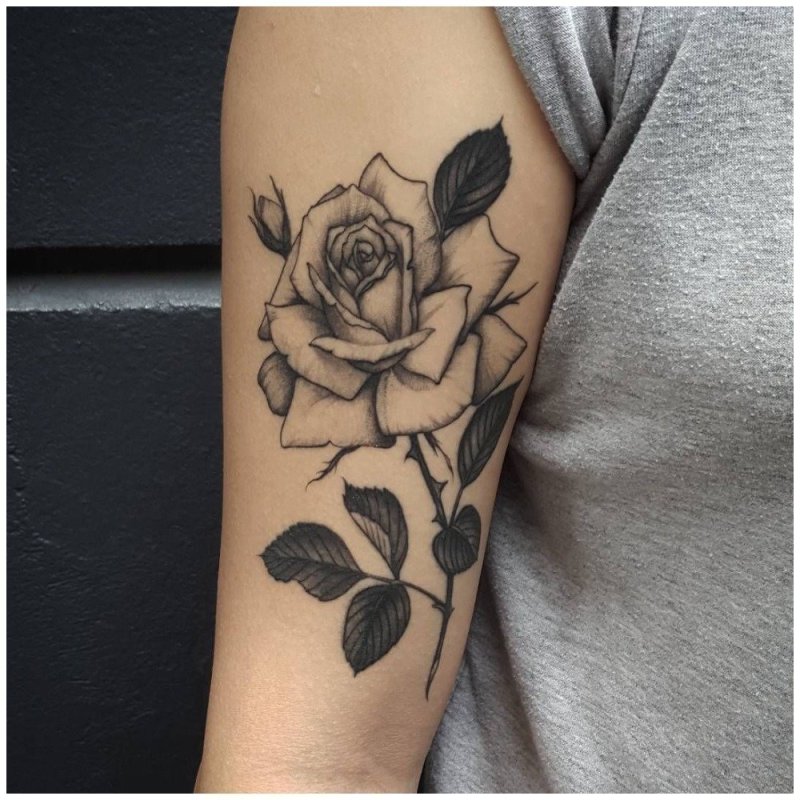 Розы в татуировках - красивый выбор для девушек