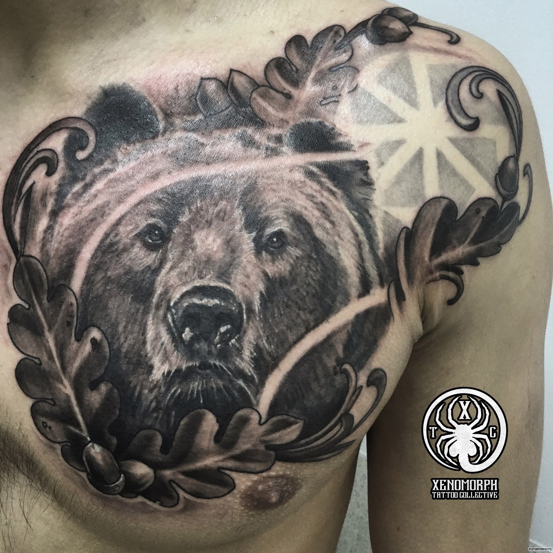 Тату медведь на груди