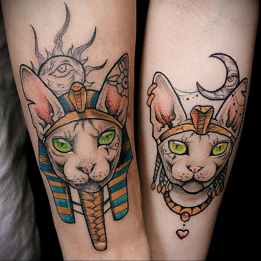 Египетская кошка сфинкс тату