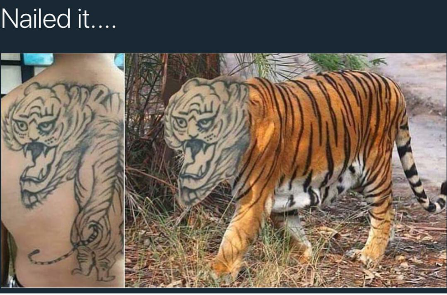 Мем Татуировка с толстым тигром